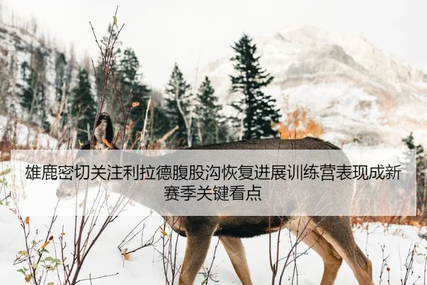 雄鹿密切关注利拉德腹股沟恢复进展训练营表现成新赛季关键看点